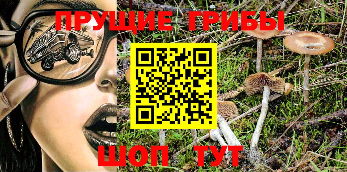 Псилоцибиновые грибы GOLDEN TEACHER  Вход с VPN  Галлюциногенные грибы Cubensis  Лесосибирск 