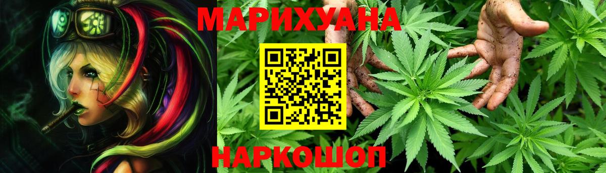 Бошки Шишки планчик Лесосибирск